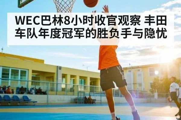 WEC巴林8小时收官观察 丰田车队年度冠军的胜负手与隐忧